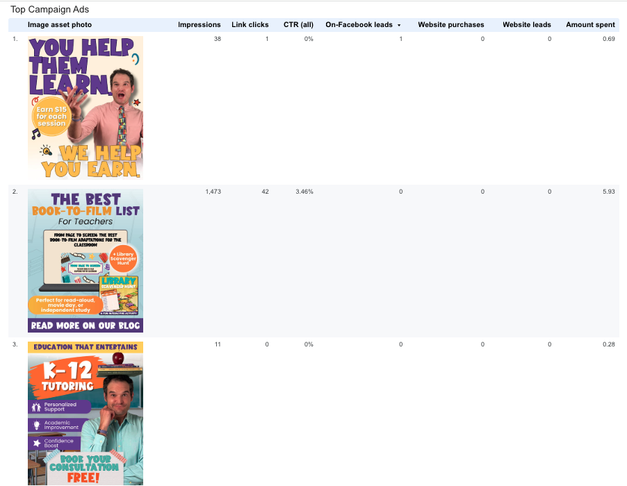 Top Meta Campaign Ads