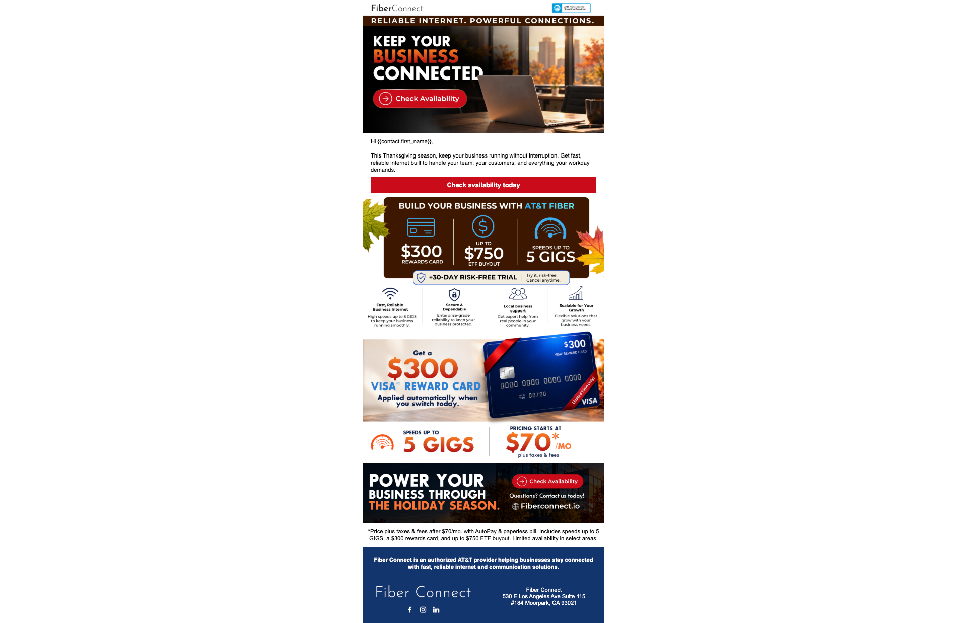 Thanksgiving Email Fiber