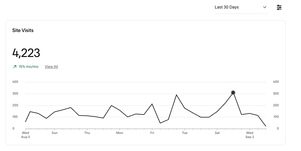 Website Visits Last 30 Days