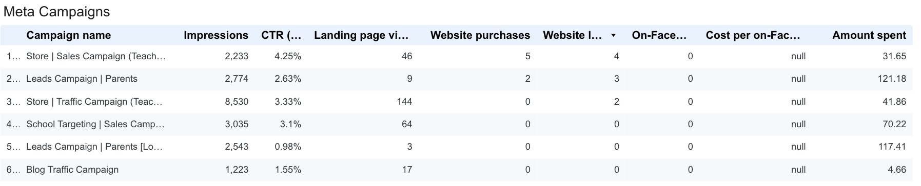 Meta Ads Campaign Results